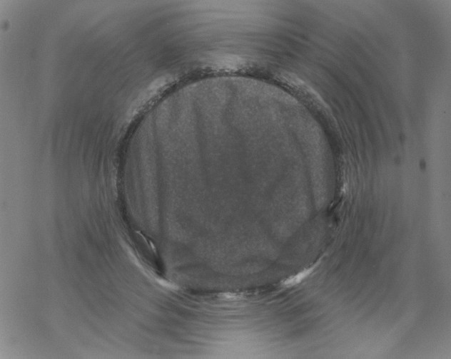 X0000067920496200605112012