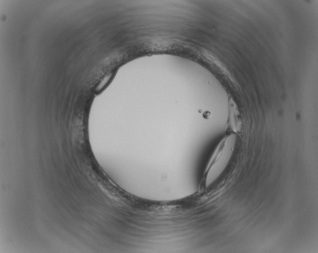 X0000067920497200605112012