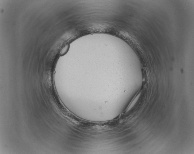 X0000067920498200605112012