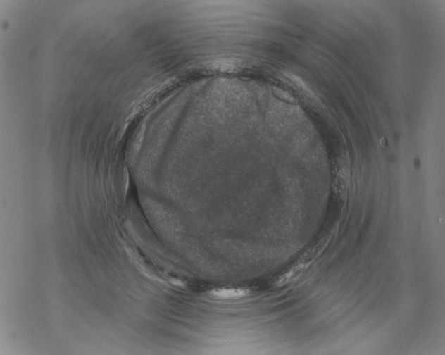 X0000067920500200605112012