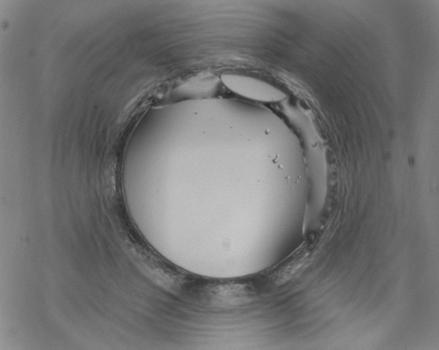 X0000067920501200605112012