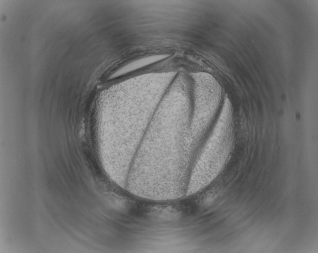 X0000067920502200605112012