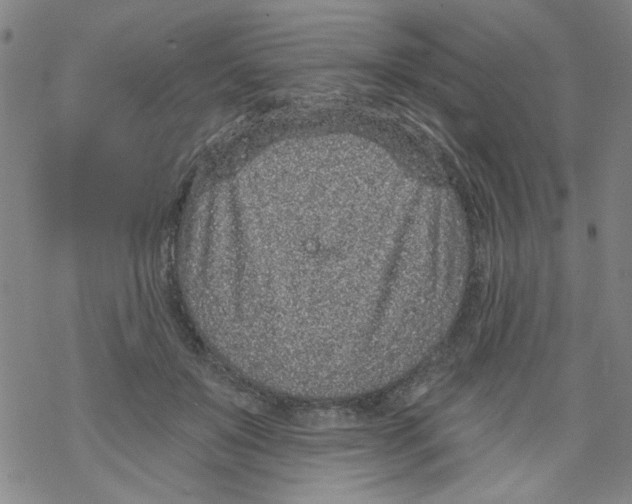 X0000067920503200605112012