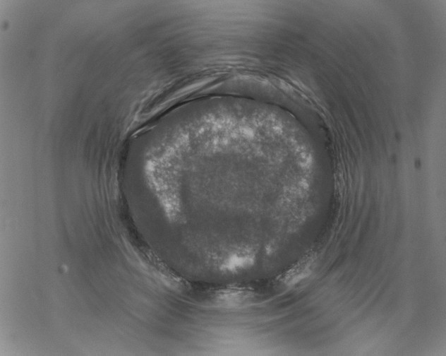 X0000067920504200605112012