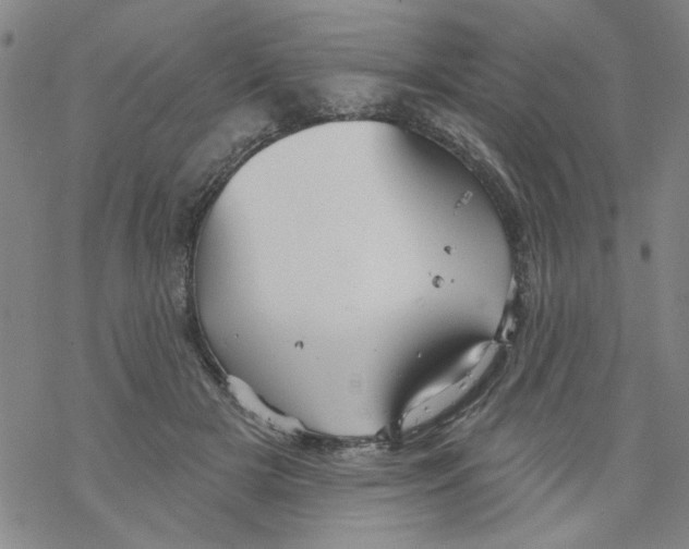 X0000067920505200605112012