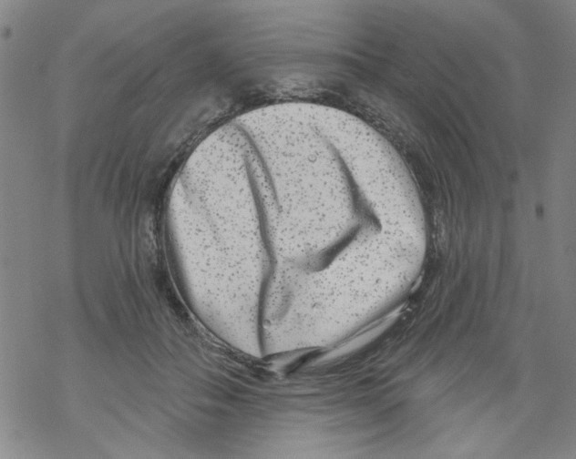 X0000067920506200605112012