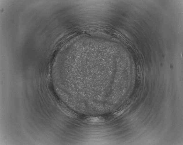 X0000067920507200605112012