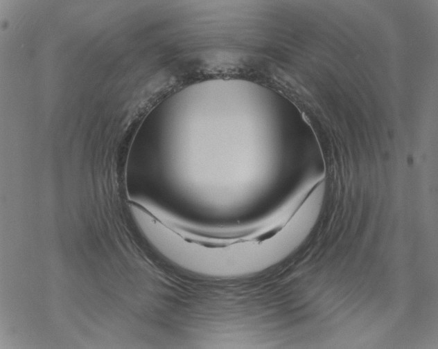 X0000067920508200605112012