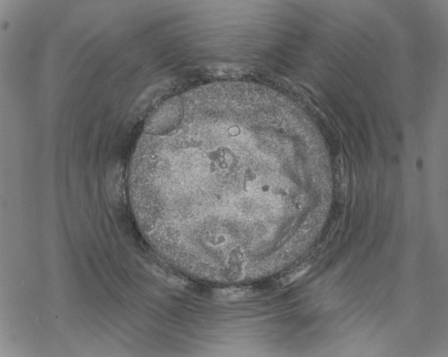 X0000067920511200605112012