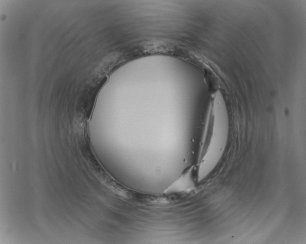 X0000067920513200605112012