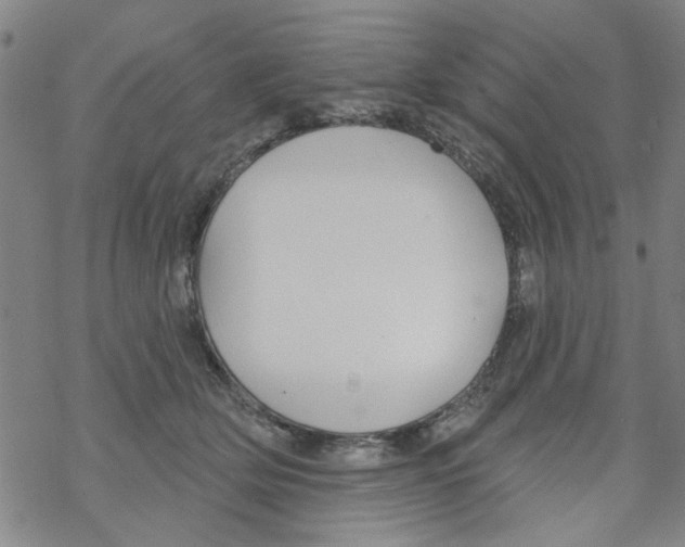 X0000067920514200605112012