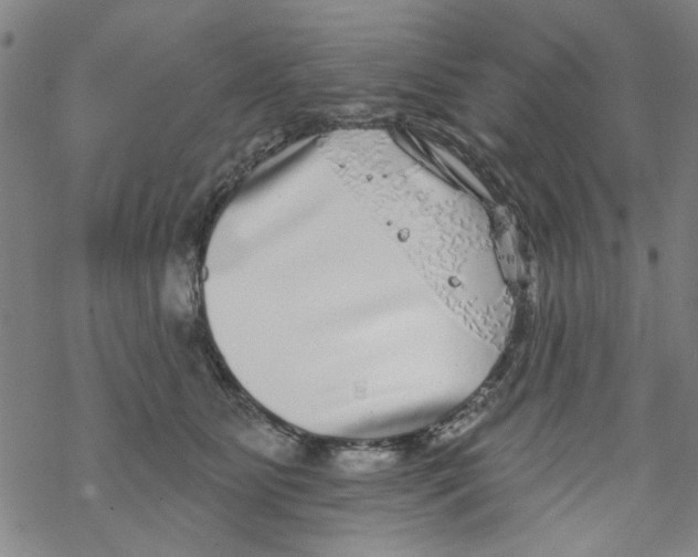 X0000067920515200605112012