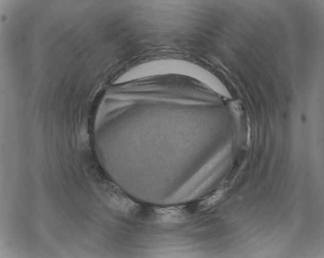 X0000067920516200605112012