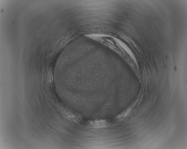 X0000067920517200605112012