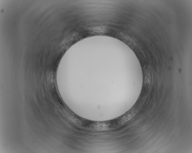 X0000067920518200605112012