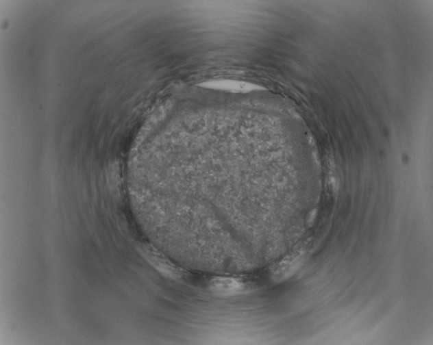 X0000067920519200605112012