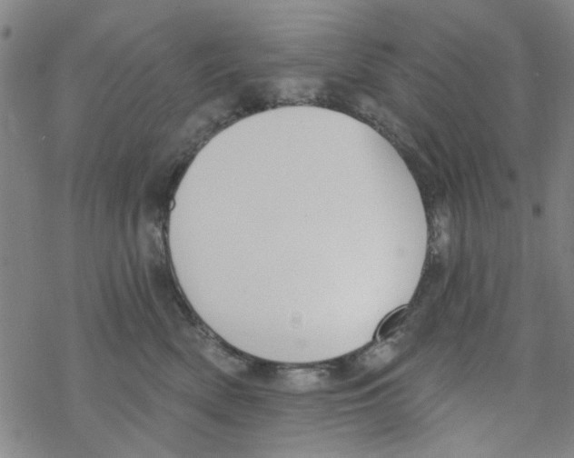 X0000067920522200605112011