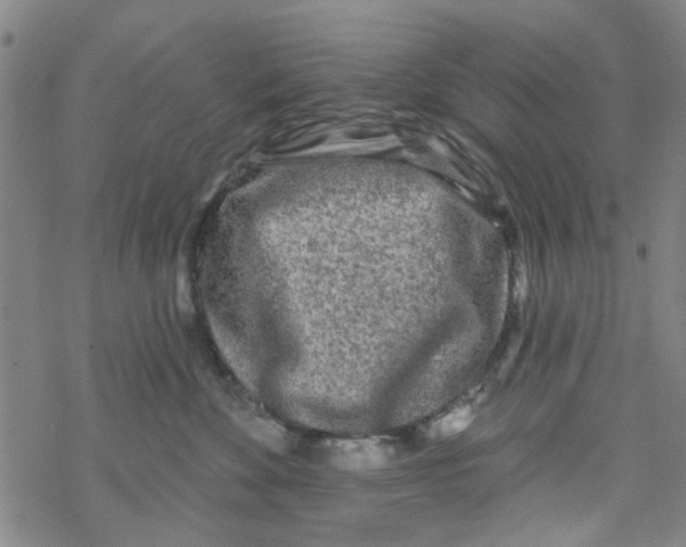 X0000067920524200605112011