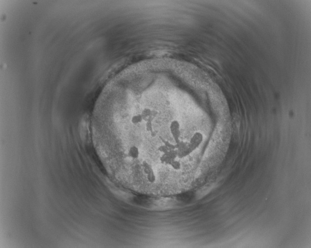 X0000067920527200605112011