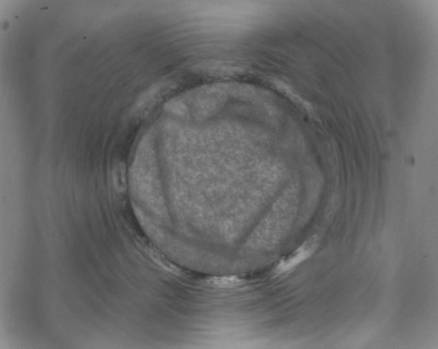 X0000067920528200605112011