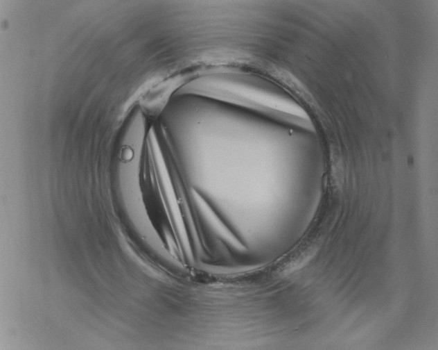 X0000067920530200605112011