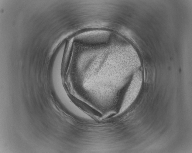 X0000067920531200605112011