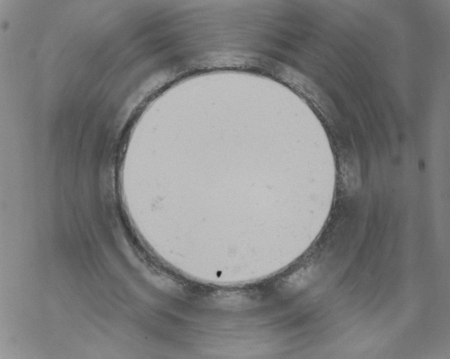 X0000067920534200605112011