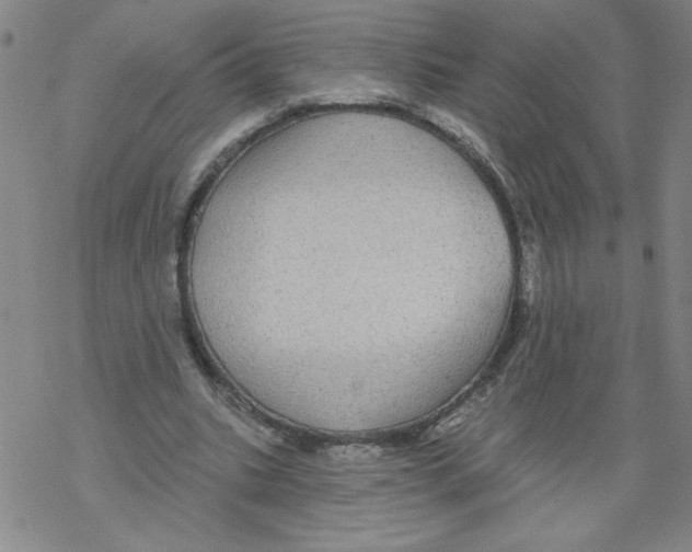 X0000067920535200605112011