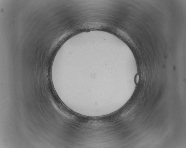 X0000067920538200605112011