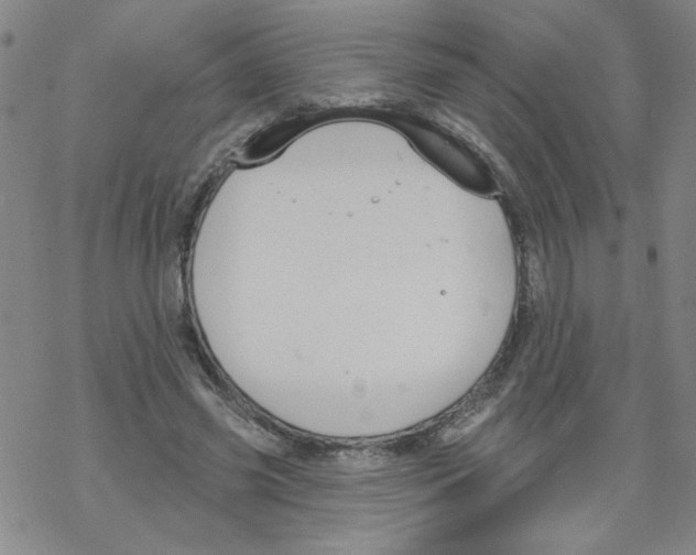 X0000067920541200605112011