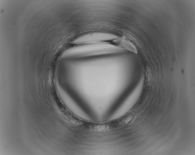 X0000067920546200605112011