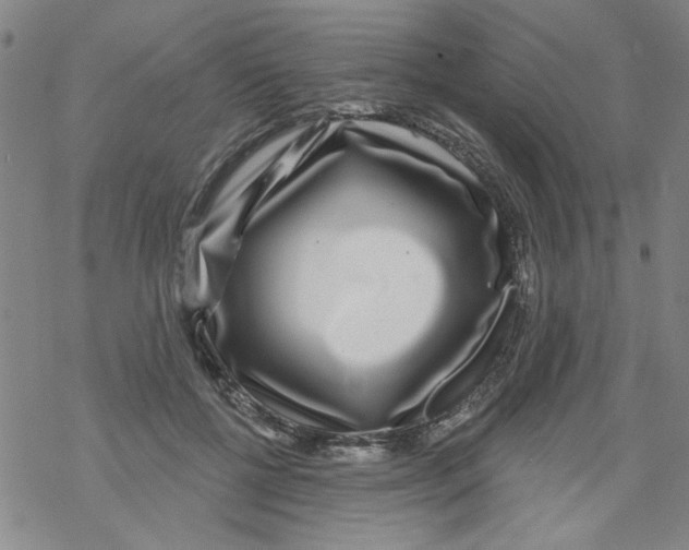 X0000067920552200605112011