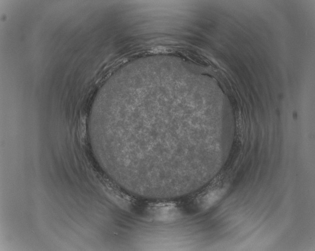 X0000067920554200605112011