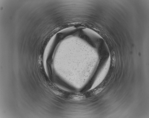 X0000067920555200605112011