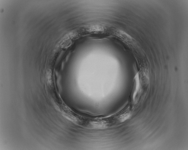 X0000067920556200605112011