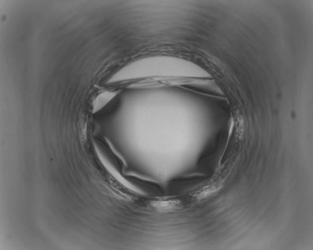 X0000067920558200605112011