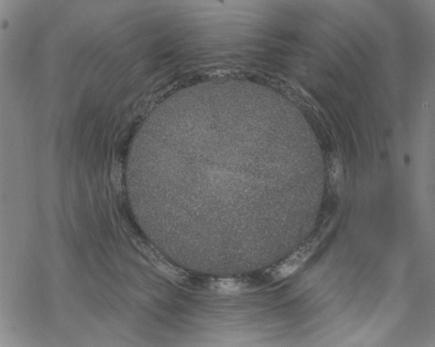 X0000067920565200605112011