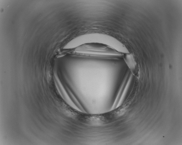 X0000067920566200605112011