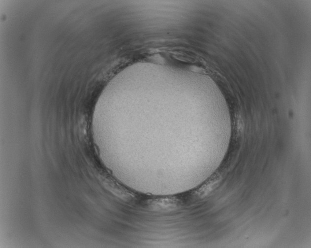 X0000067920567200605112011