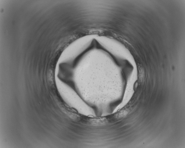 X0000067920571200605112011