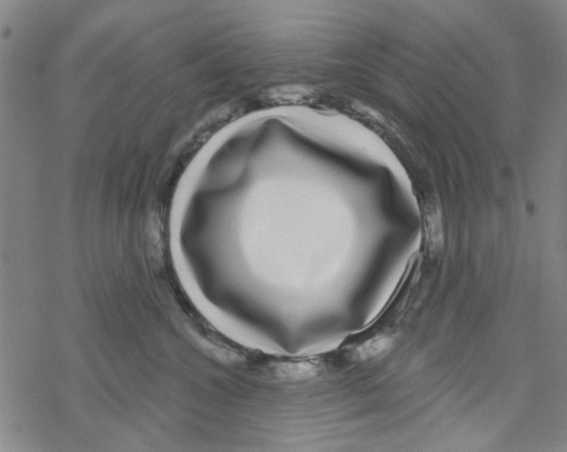 X0000067920572200605112011