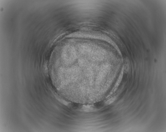 X0000067920573200605112011