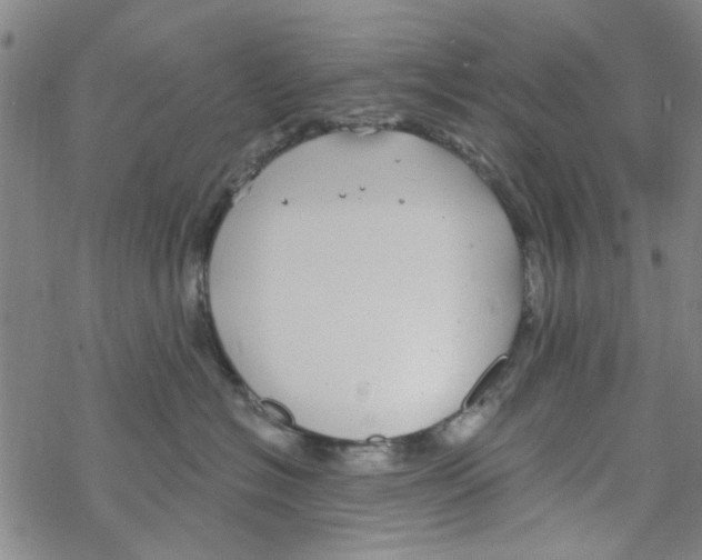 X0000067920574200605112011