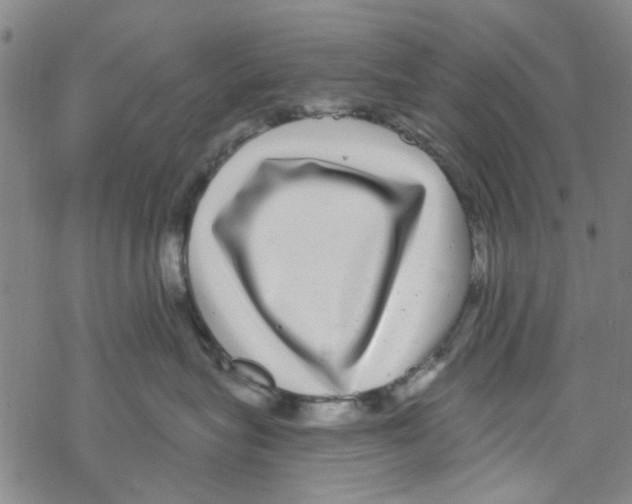 X0000067920575200605112011