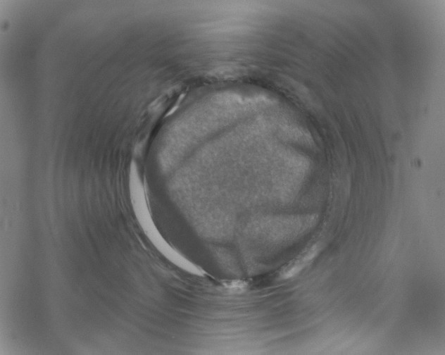 X0000067920576200605112011