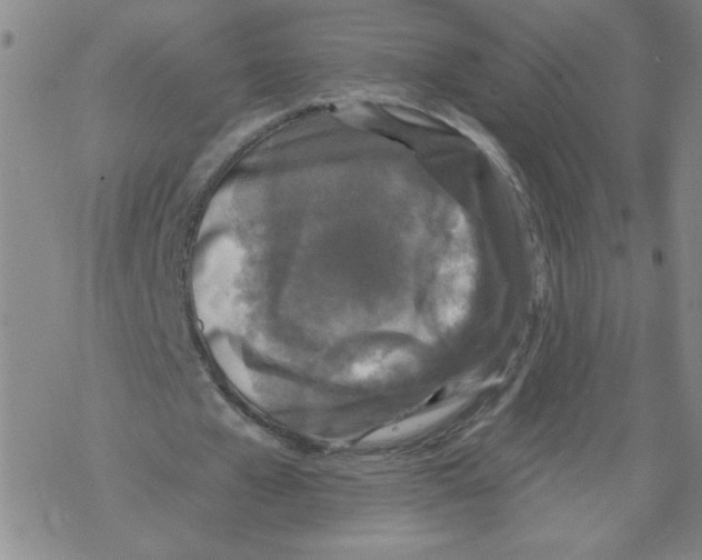 X0000067920577200605112011