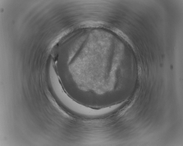 X0000067920581200605112010