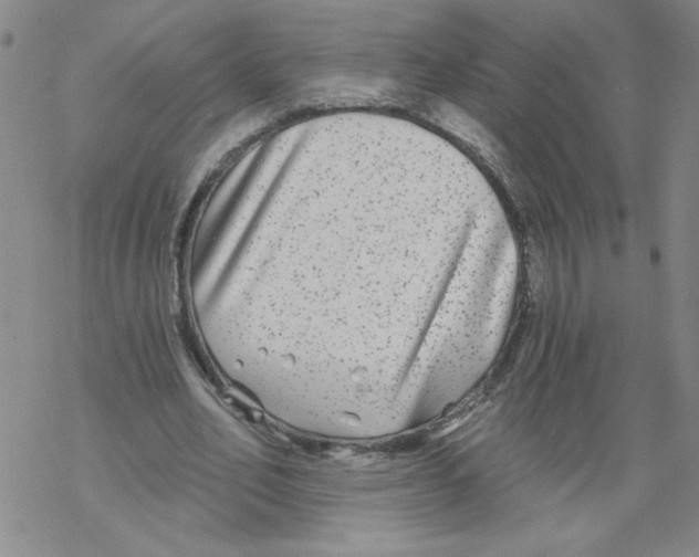 X0000067920582200605112010