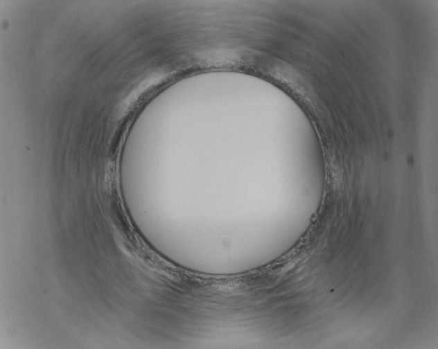 X0000067920583200605112010