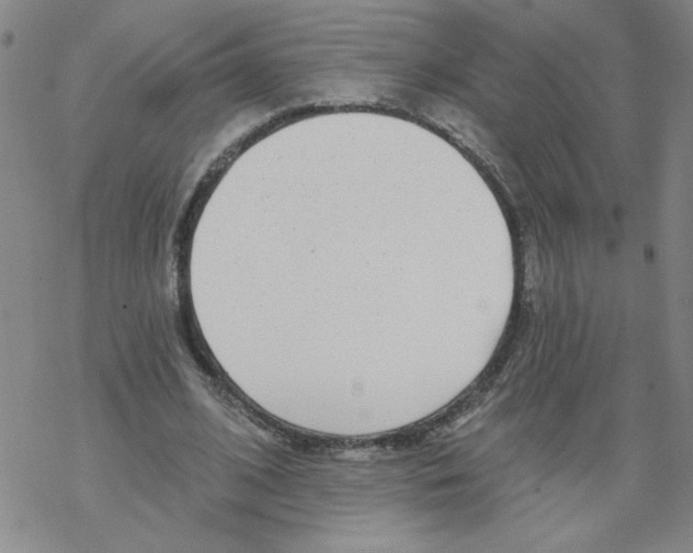 X0000067920584200605112010